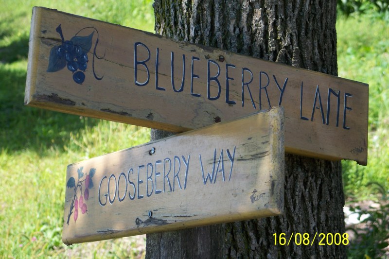 100_2477 (Copier).JPG - Allée des bleuets et chemin des groseilles